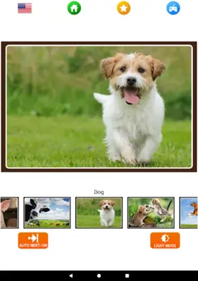 Animal sounds-Kids Game android App screenshot 7